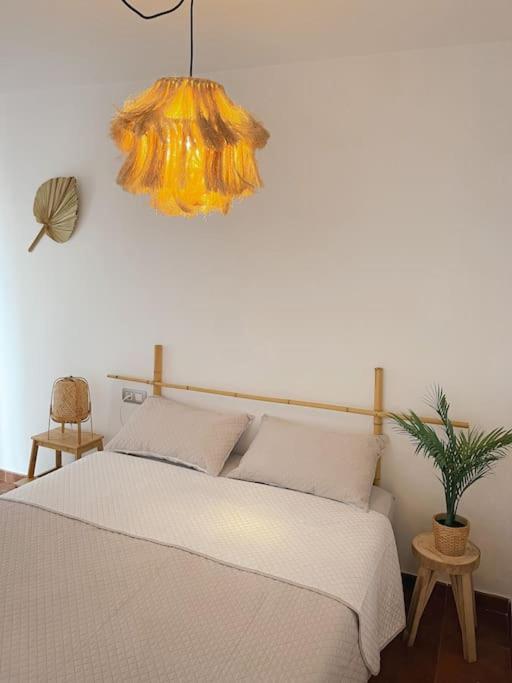 Apartamento Casa Bamboo Corralejo, Espacioso, Piscina Y Parking Exteriör bild