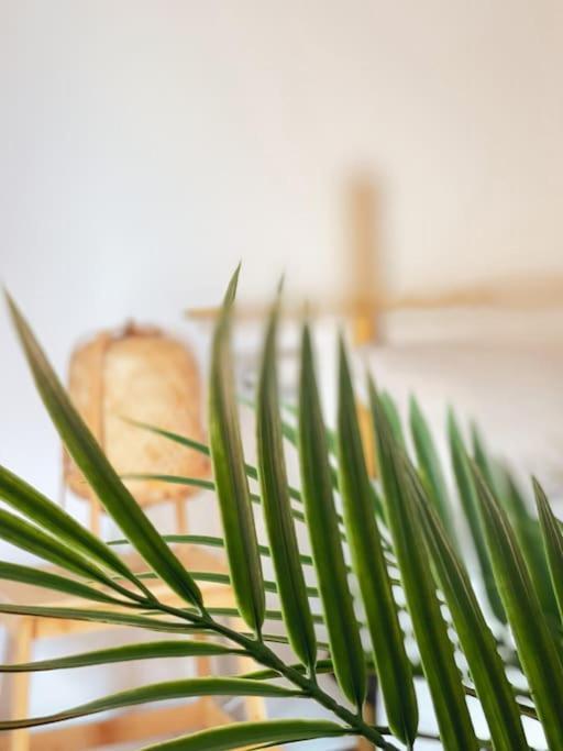 Apartamento Casa Bamboo Corralejo, Espacioso, Piscina Y Parking Exteriör bild