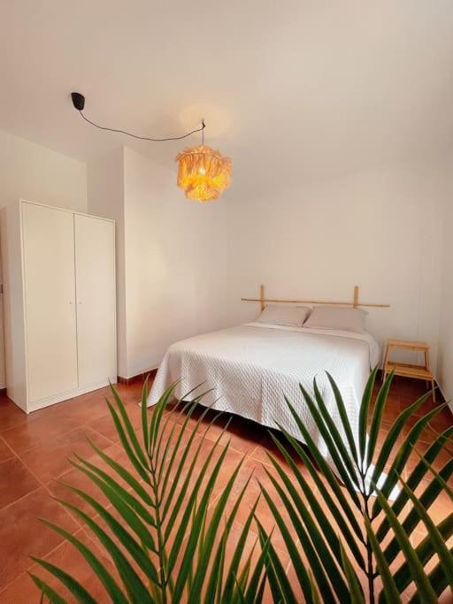 Apartamento Casa Bamboo Corralejo, Espacioso, Piscina Y Parking Exteriör bild