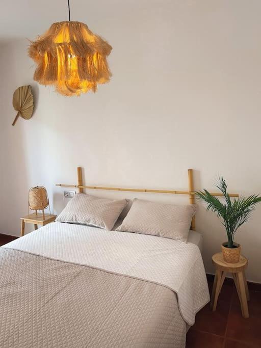 Apartamento Casa Bamboo Corralejo, Espacioso, Piscina Y Parking Exteriör bild