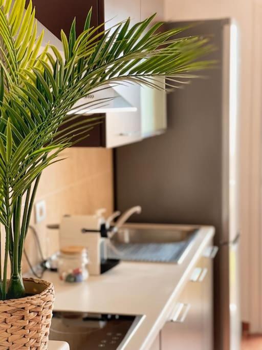 Apartamento Casa Bamboo Corralejo, Espacioso, Piscina Y Parking Exteriör bild